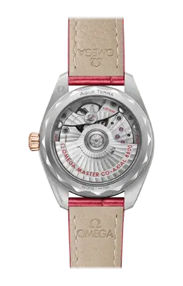 Часы Omega Aqua terra 150m 34 мм 220.23.34.20.60.001