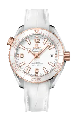 Часы planet ocean 600m co axial master chronometer 39 Omega 215.23.40.20.04.001