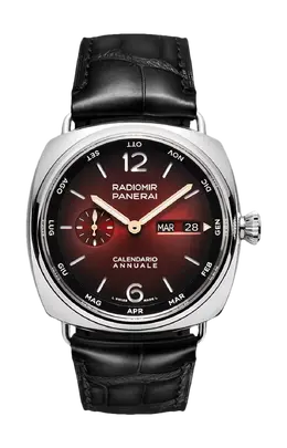 Часы radiomir annual calendar platinumtech experience Panerai pam01432