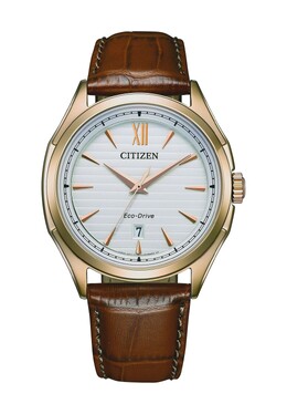 Мужские часы Citizen, цвет Gold Braun 4974374333803 | gold braun