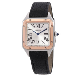 Cartier Santos-Dumont Small Model w2sa0041