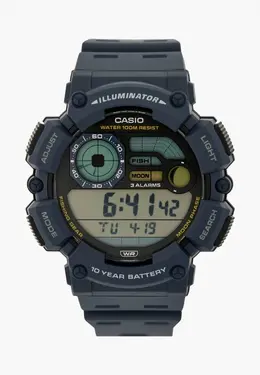 Часы Casio ws-1500h-2a