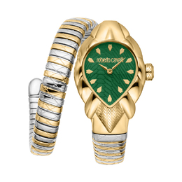 Roberto Cavalli Fiaba Ladies Watch rc5l110m0075