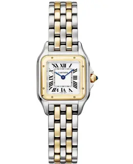 Cartier Panthere de Cartier Small Silver Dial Yellow Gold & Steel Women's Watch w2pn0018
