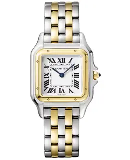 W2PN0019 Cartier Panthere de Cartier Medium Silver Dial Yellow Gold & Steel Women's Watch