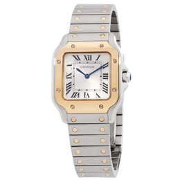 Cartier Santos Small Model W2SA0033 - Elegant Silver Sunray Dial Watch
