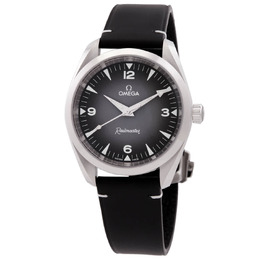 Omega Seamaster Railmaster Automatic Chronometer Grey Dial Watch 235.12.38.20.06.001