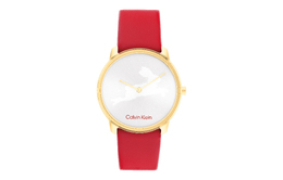 Calvin Klein CK/ Наручные часы с кварцевым механизмом, кожаным ремешком, серебряным циферблатом, женские часы 25200219