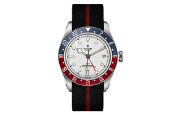 Tudor Мужские часы коллекции BLACK BAY m79830rb-0012