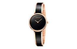 Женские кварцевые часы CK Calvin Klein k4e2n611