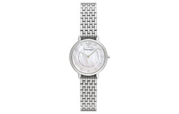 Женские часы из коллекции Gypsophila Emporio Armani, Silver ar2511-clg | silver