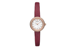 Женские часы Emporio Armani ar11417品牌专供