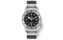 Tudor Часы Black Bay P01 M70150 0001 m70150-0001