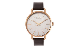 Женские кварцевые часы CK Calvin Klein k7b236g6