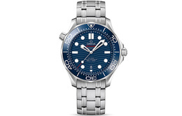 Мужские часы для дайвинга Seahorse Series 300 м Omega 210.30.42.20.03.001