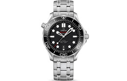Часы 2024 Unworn Seamaster 42mm Omega 210.30.42.20.01.001