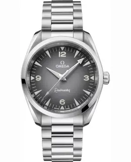 Omega Seamaster Railmaster Automatic Grey Dial Stainless Steel Men's Watch 235.10.38.20.06.001