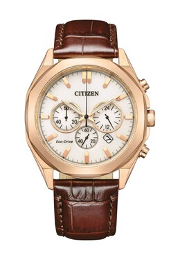 Мужские наручные часы CA4593-15A Citizen, белый 4974374340061 | weiss