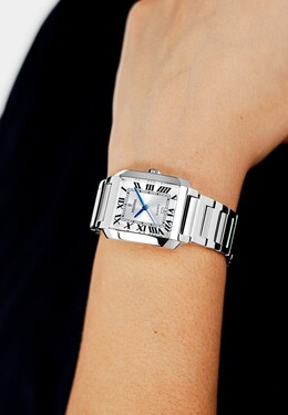 Часы Festina, серебристый fe051m0cg-d11 | silver watch f