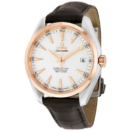 Pre-owned Omega Seamaster Aqua Terra Silver Dial Mens Watch 231.23.42.21.02.001