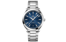 Omega Часы 2024 Unworn Seamaster Aqua Terra 38mm 220.10.41.21.03.004