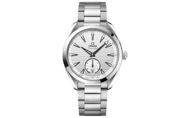 Omega Часы 2024 Unworn Seamaster Aqua Terra 150M 41mm 220.10.41.21.02.002