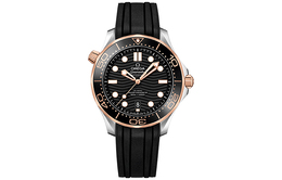 Omega Часы 2024 Unworn Seamaster Diver 300M Co-Axial Master Chronometer 42mm 210.22.42.20.01.002