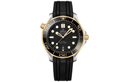 Omega Часы Seamaster Diver 42mm 210.22.42.20.01.001