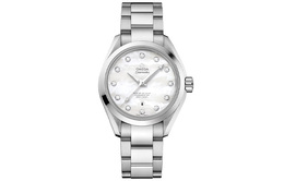 Omega Часы Seamaster Aqua Terra 231.10.34.20.55.002