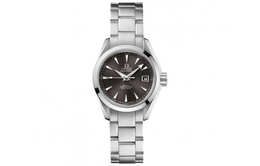 Omega Часы Seamaster Aqua Terra 231.10.30.20.06.001, Dark Gray 231.10.30.20.06.001 | dark gray