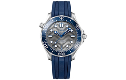 Omega Часы Seamaster O21032422006001 210.32.42.20.06.001