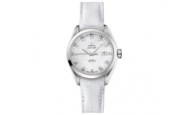 Omega Часы Seamaster Aqua Terra 231.13.34.20.55.001