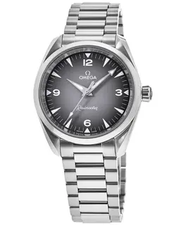 Omega Seamaster Railmaster Automatic Grey Dial Stainless Steel Men's Watch 235.10.38.20.06.001